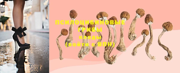 дживик Покачи