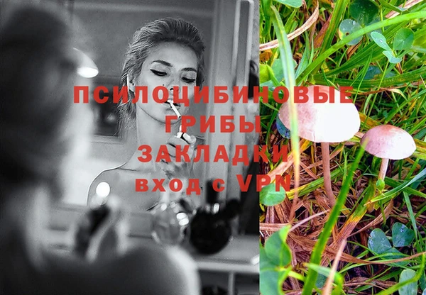 дживик Покачи