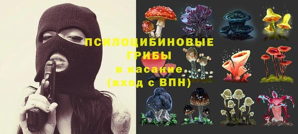 тгк Покровск
