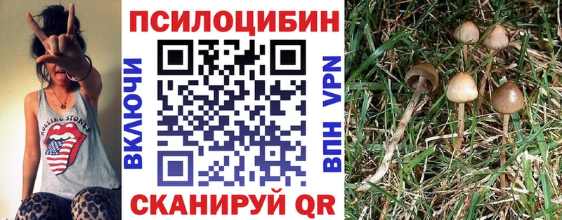 Галлюциногенные грибы Magic Shrooms  Александровск-Сахалинский 