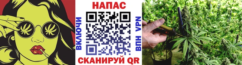 Каннабис индика Александровск-Сахалинский
